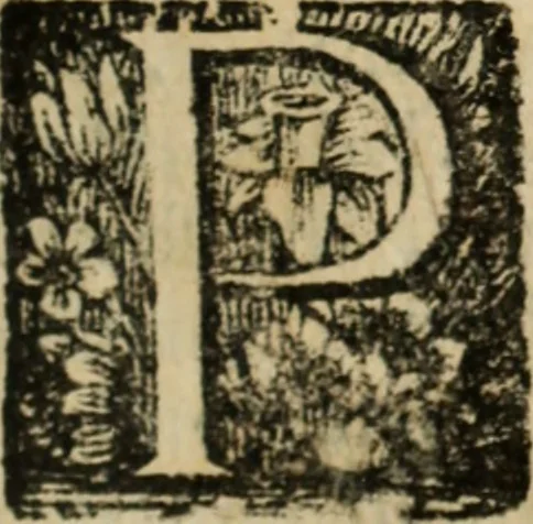 An illustration from Riflessioni sopra il buon gusto neele scienze, e nelle arti, 1721, leaf 200