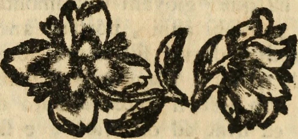 An illustration from Riflessioni sopra il buon gusto neele scienze, e nelle arti, 1721, leaf 251