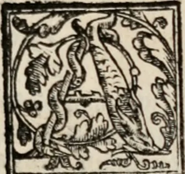 An illustration from Rime de gli academici Eterei dedicate alla Serenissima Madama Margherita di Vallois, dvchessa di Savoia, 1567, leaf 174
