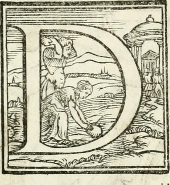 An illustration from Rime de gli Academici occvlti : con le loro imprese et discorsi, 1568, leaf 155