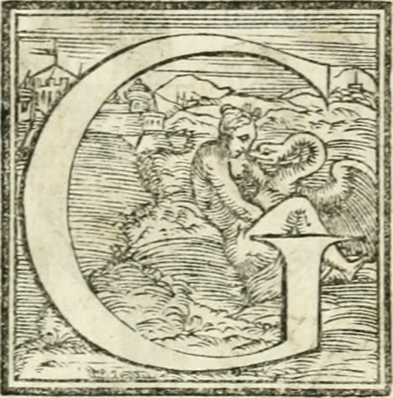 An illustration from Rime de gli Academici occvlti : con le loro imprese et discorsi, 1568, leaf 233