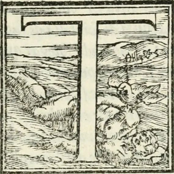 An illustration from Rime de gli Academici occvlti : con le loro imprese et discorsi, 1568, leaf 6