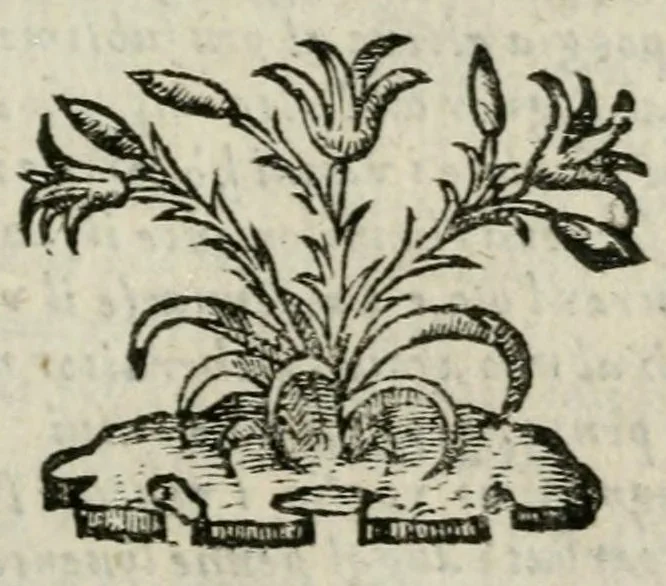 An illustration from Rime del molto rever. P.D. Angelo Grillo per le nozze de' serenissimi gran duca e gran duchessa di Toscana con l'aggionta de gli archi fatti nel regal apparato della sua venuta : e piu s'intende gl'intermedij della regal comedia, co'l calcio di Santa Croce e la sbarra de Pitti : con il numero de' signori principali e le sontuose liuree, 1590, leaf 5