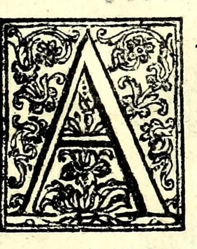 An illustration from Rime di Agnolo del Favilla nelle reali nozze de Serenissimi principi di Toscana Cosimo Medici e Maria Maddalena d'Avstria, 1608, leaf 9
