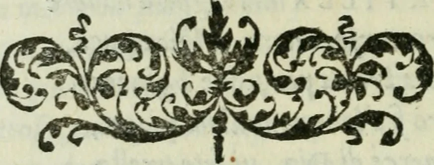 An illustration from Rime di Madonna Gaspara Stampa, 1554, leaf 187