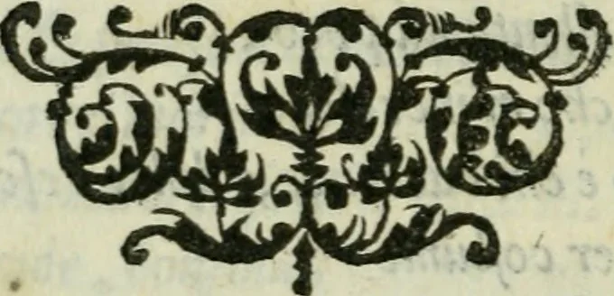 An illustration from Rime di Madonna Gaspara Stampa, 1554, leaf 195