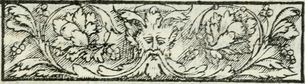 An illustration from Rime di Madonna Gaspara Stampa, 1554, leaf 196