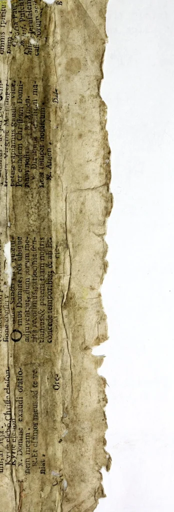 An illustration from Rime di Messer Marco Montano all'illvstrissimo et eccellentissimo signor dvca Francescomaria secondo Feltrio della Rouere, duca d'Vrbino, 1575, leaf 97