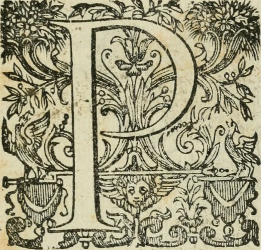 An illustration from Rime di Michelagnolo Buonarroti, 1623, leaf 12