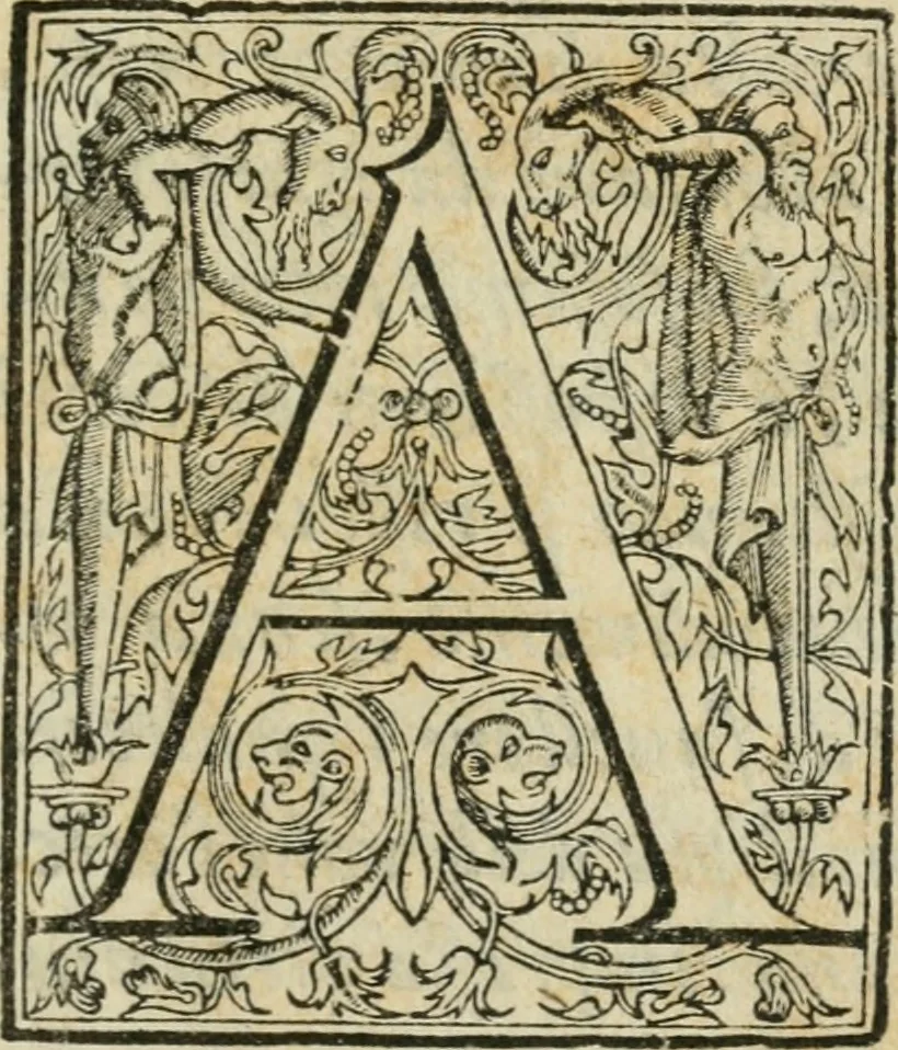 An illustration from Rime di Michelagnolo Buonarroti, 1623, leaf 6