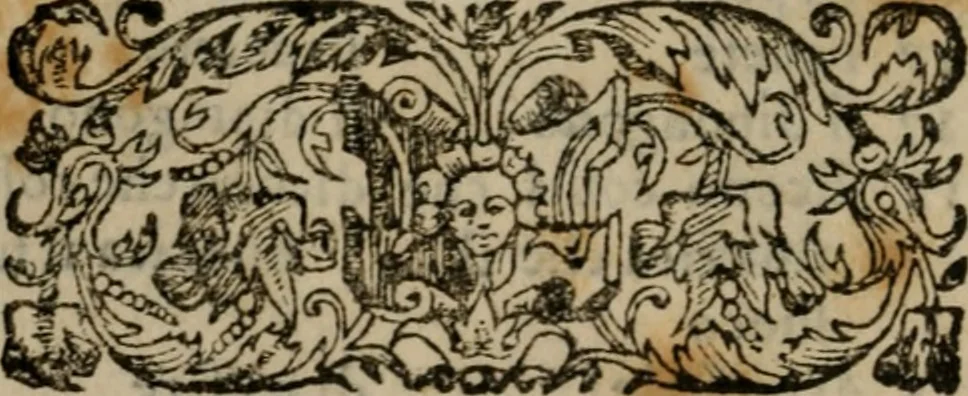 An illustration from Il riposo di Raffaello Borghini, in cvi della pittvra, e della scultura si fauella, de' piu illustri pittori, e scultori, e delle piu famose opere loro si fa mentione; e le cose principali appartenenti à dette arti s'insegnano, 1584, leaf 51