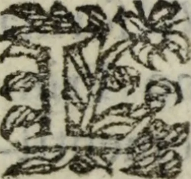 An illustration from Ristretto delle cose piu notabili della città di Firenze, 1689, leaf 10