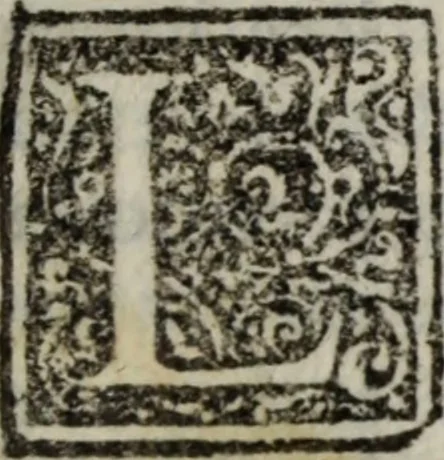An illustration from Ristretto delle cose piu notabili della città di Firenze, 1689, leaf 124