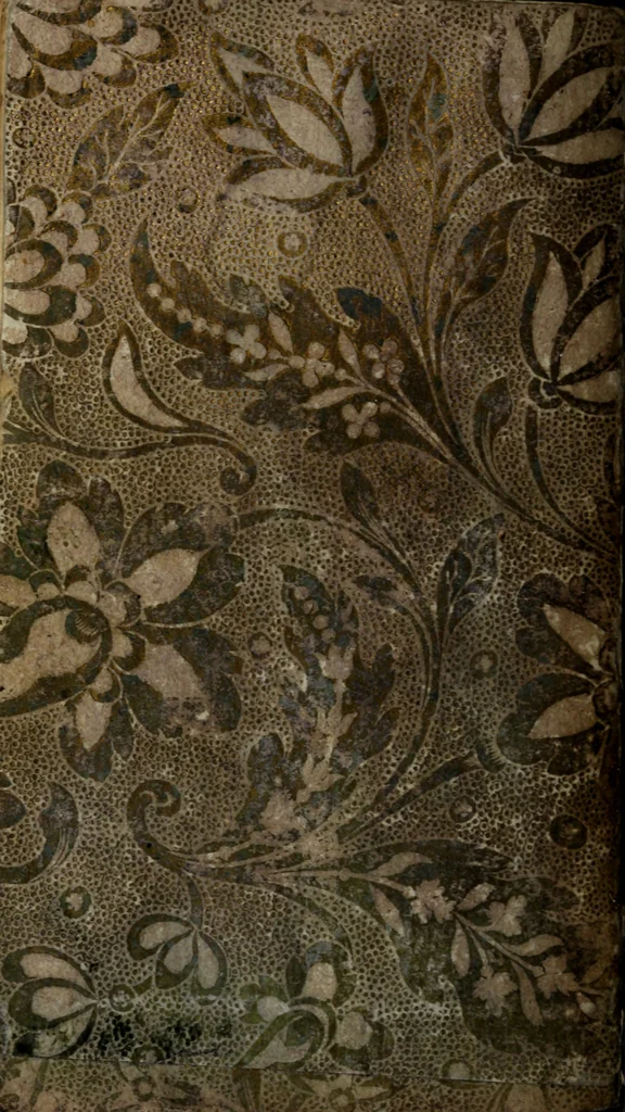 An illustration from Ristretto delle cose piu notabili della città di Firenze, 1689, leaf 153