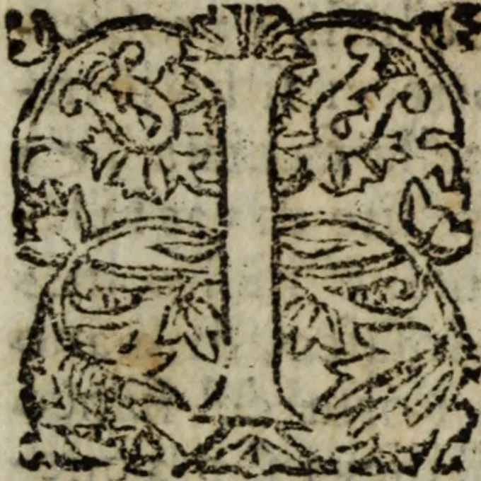 An illustration from Ristretto delle cose piu notabili della città di Firenze, 1689, leaf 30