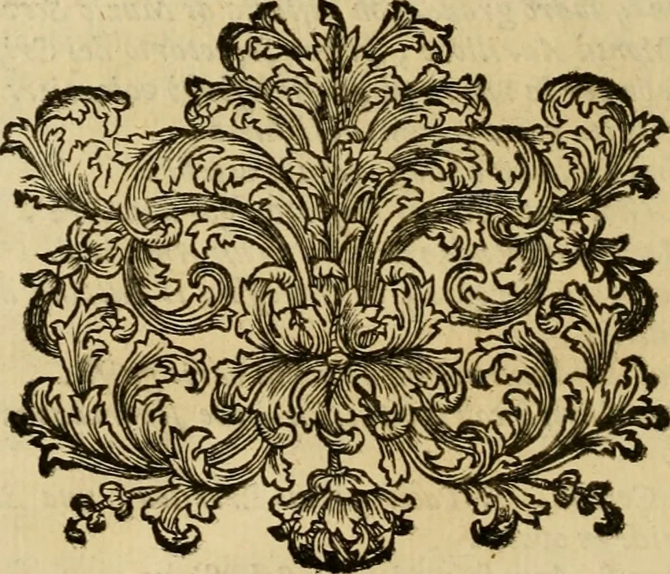 An illustration from Ritratti di alcuni celebri pittori del secolo XVII, 1731, leaf 153