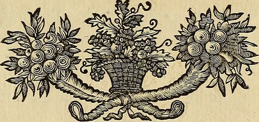 An illustration from Ritratti di alcuni celebri pittori del secolo XVII, 1731, leaf 306