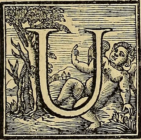 An illustration from Ritratti di alcuni celebri pittori del secolo XVII, 1731, leaf 56