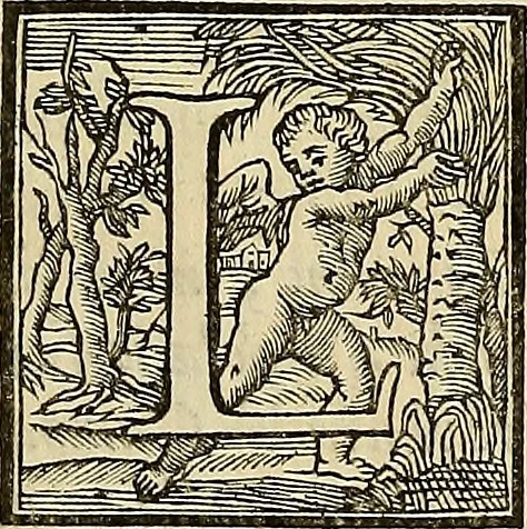 An illustration from Ritratti di alcuni celebri pittori del secolo XVII, 1731, leaf 6