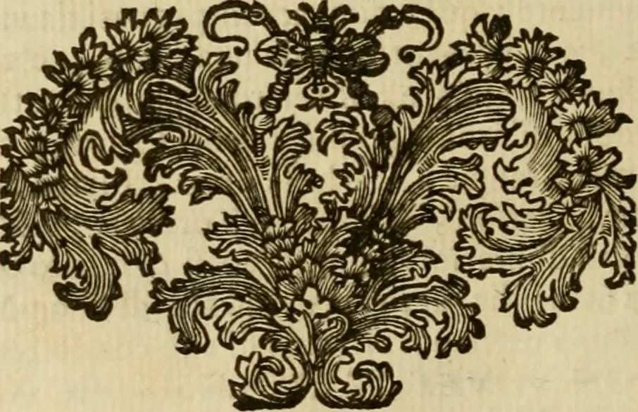 An illustration from Ritratti di alcuni celebri pittori del secolo XVII, 1731, leaf 89