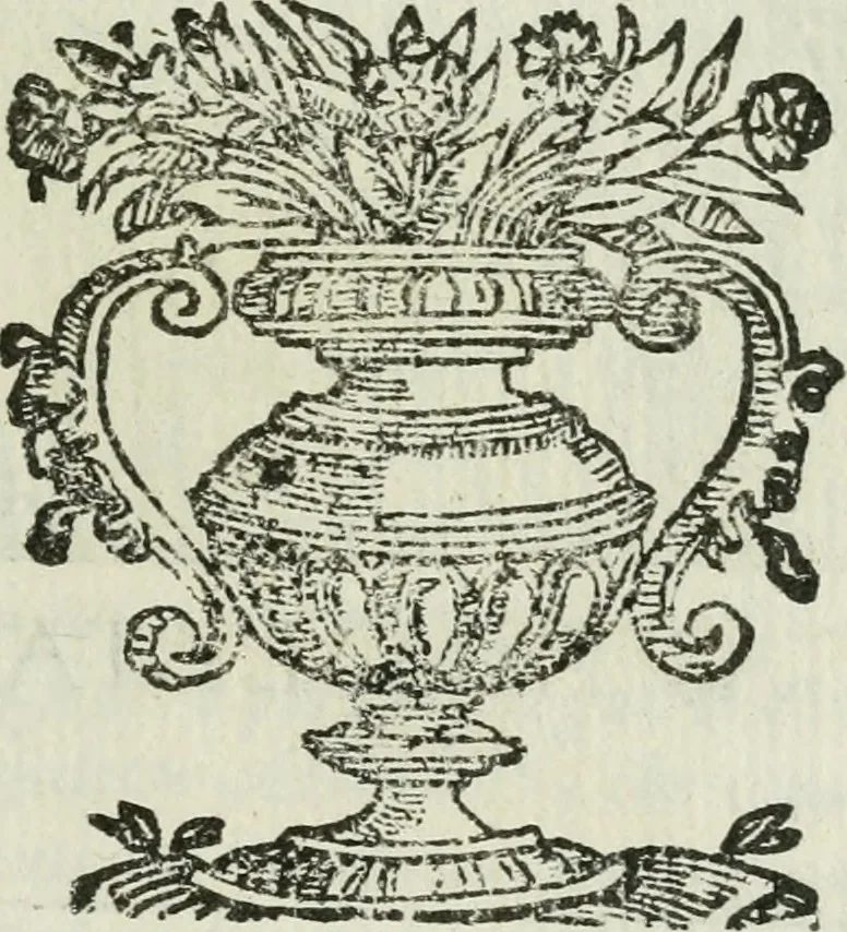 An illustration from Ritratti et elogii di capitani illustri, 1635, leaf 102
