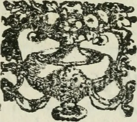 An illustration from Ritratti et elogii di capitani illustri, 1635, leaf 238