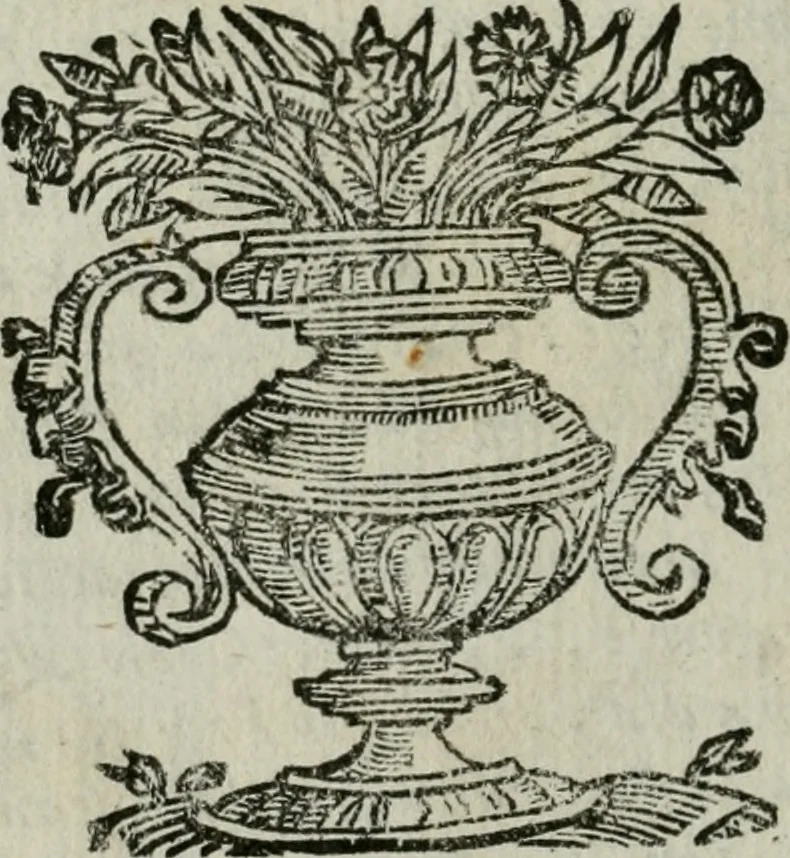 An illustration from Ritratti et elogii di capitani illustri, 1635, leaf 247