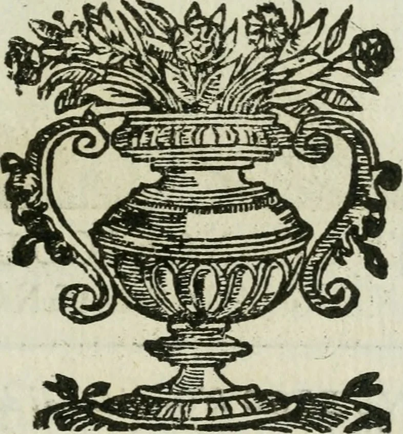 An illustration from Ritratti et elogii di capitani illustri, 1635, leaf 270