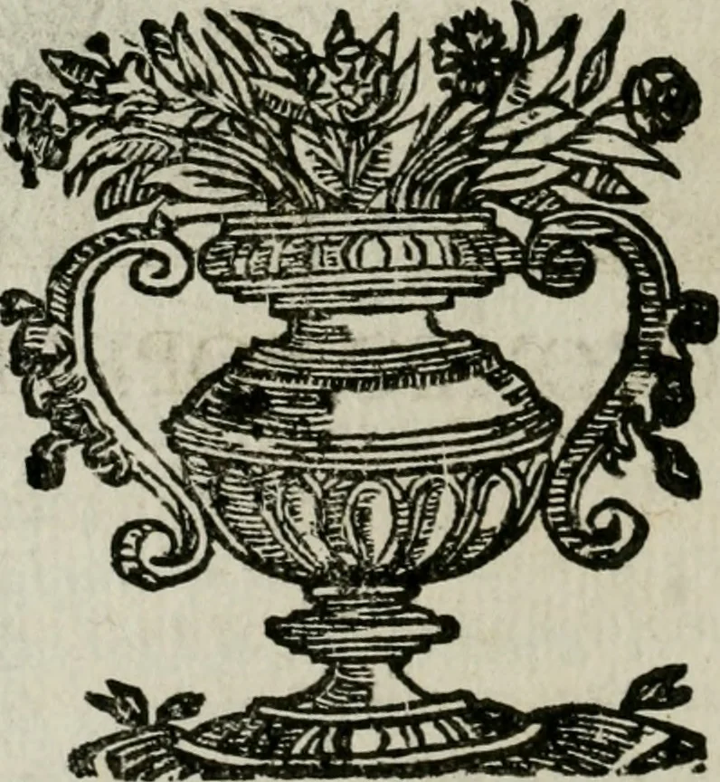 An illustration from Ritratti et elogii di capitani illustri, 1635, leaf 305