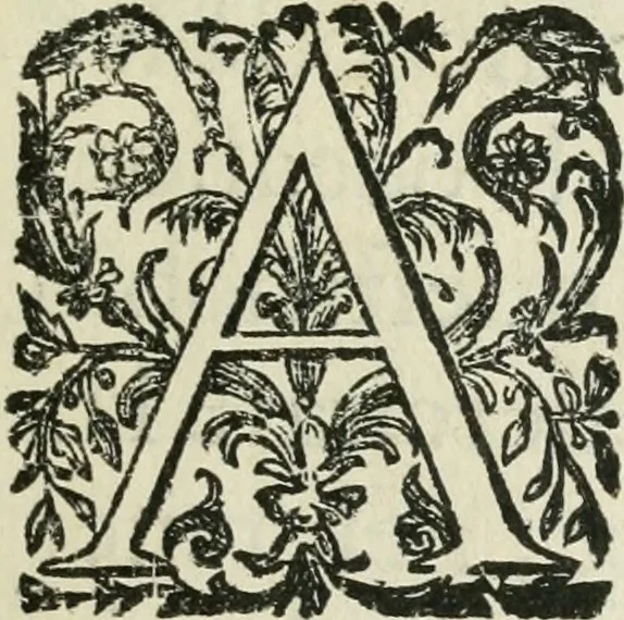 An illustration from Ritratti et elogii di capitani illustri, 1635, leaf 8