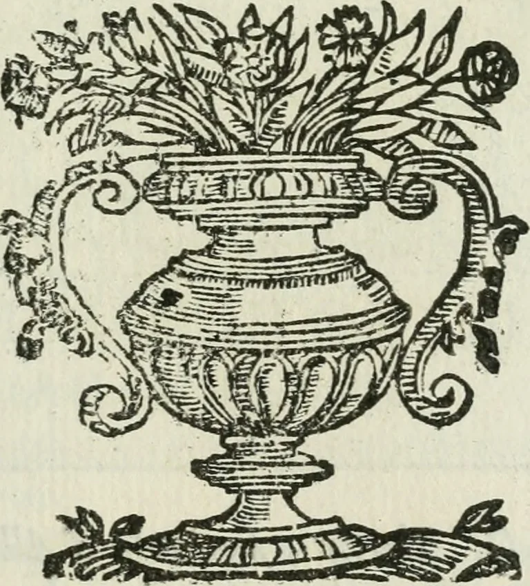 An illustration from Ritratti et elogii di capitani illustri, 1635, leaf 98