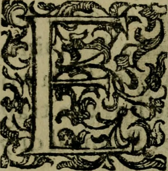 An illustration from Ritratti et elogij di capitani illustri : che ne' secoli moderni hanno gloriosamente guerreggiato, 1647, leaf 10