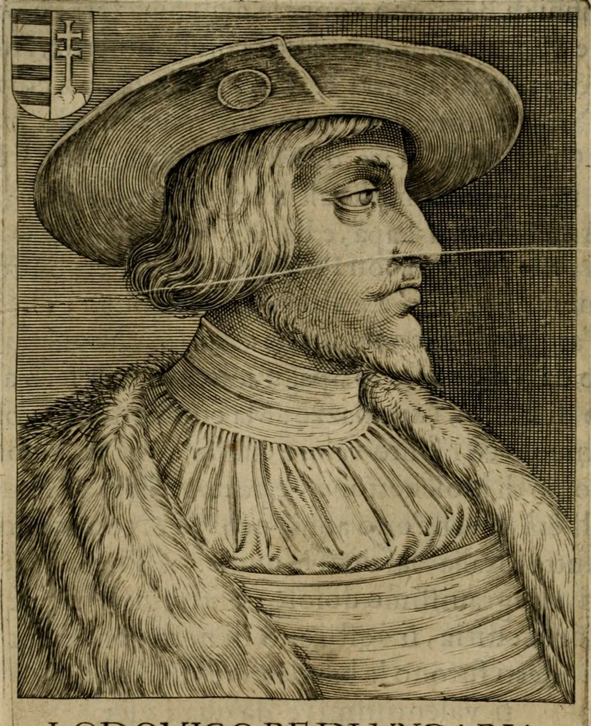 An illustration from Ritratti et elogij di capitani illustri : che ne' secoli moderni hanno gloriosamente guerreggiato, 1647, leaf 265