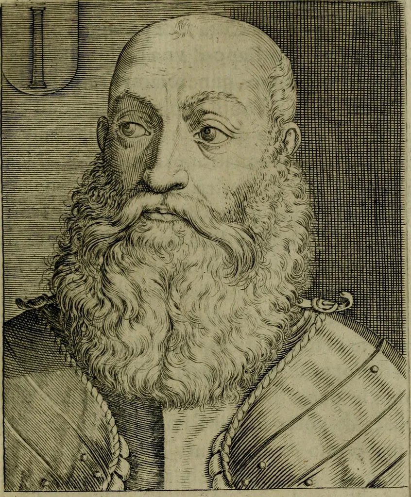 An illustration from Ritratti et elogij di capitani illustri : che ne' secoli moderni hanno gloriosamente guerreggiato, 1647, leaf 308