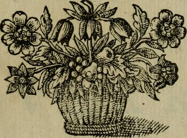 An illustration from Ritratti et elogij di capitani illustri : che ne' secoli moderni hanno gloriosamente guerreggiato, 1647, leaf 6
