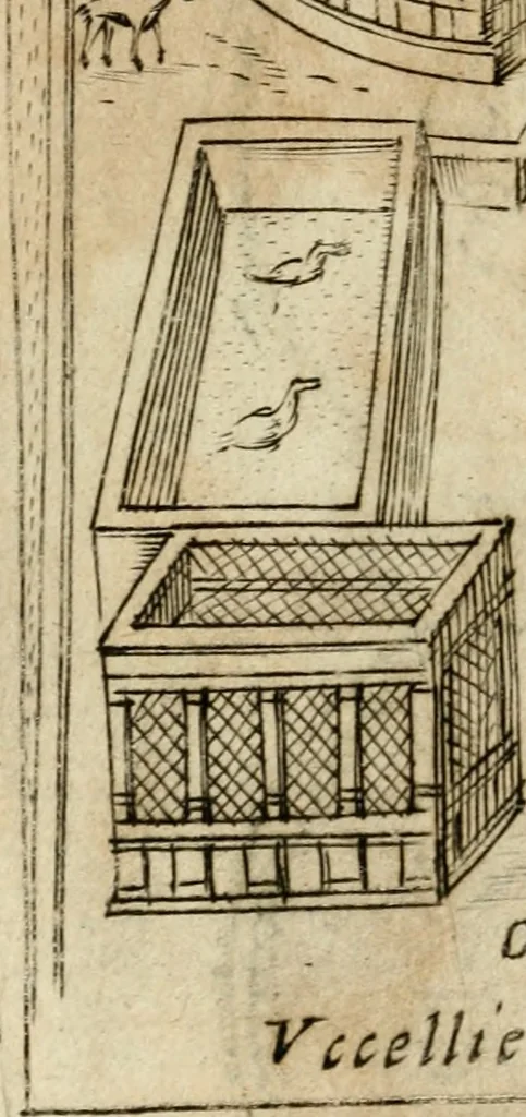 An illustration from Ritratto di Roma antica : nel qvale sono figvrati i principali tempij, theatri, anfiteatri, cerchi, naumachie, archi trionfali, curie, basiliche, colonne, ordine del trionfo, dignita militari, e ciuili, riti cerimonie, & altre cose notabili : aggiuntoui di nuouo le vite, & effigie de' primi rè di essa, e le grandezze dell'Imperio Romano, con l'esplicationi istoriche de' piu celebri antiquarij, 1654, leaf 121