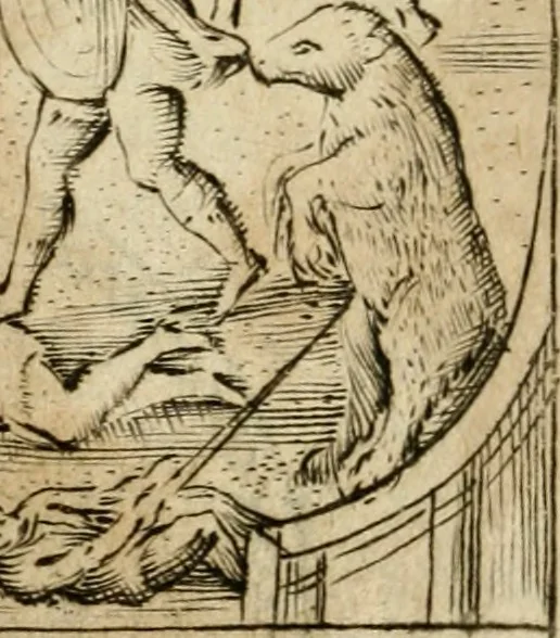 An illustration from Ritratto di Roma antica : nel qvale sono figvrati i principali tempij, theatri, anfiteatri, cerchi, naumachie, archi trionfali, curie, basiliche, colonne, ordine del trionfo, dignita militari, e ciuili, riti cerimonie, & altre cose notabili : aggiuntoui di nuouo le vite, & effigie de' primi rè di essa, e le grandezze dell'Imperio Romano, con l'esplicationi istoriche de' piu celebri antiquarij, 1654, leaf 173