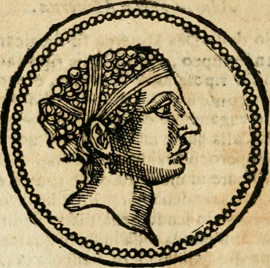 An illustration from Ritratto di Roma antica : nel qvale sono figvrati i principali tempij, theatri, anfiteatri, cerchi, naumachie, archi trionfali, curie, basiliche, colonne, ordine del trionfo, dignita militari, e ciuili, riti cerimonie, & altre cose notabili : aggiuntoui di nuouo le vite, & effigie de' primi rè di essa, e le grandezze dell'Imperio Romano, con l'esplicationi istoriche de' piu celebri antiquarij, 1654, leaf 289