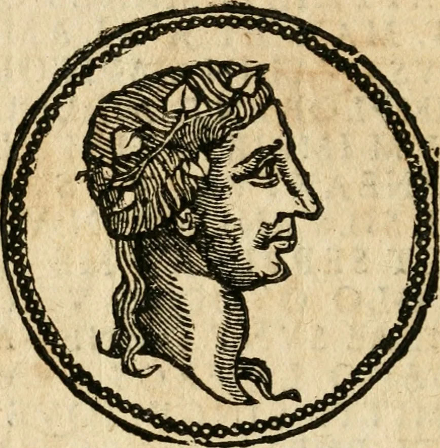An illustration from Ritratto di Roma antica : nel qvale sono figvrati i principali tempij, theatri, anfiteatri, cerchi, naumachie, archi trionfali, curie, basiliche, colonne, ordine del trionfo, dignita militari, e ciuili, riti cerimonie, & altre cose notabili : aggiuntoui di nuouo le vite, & effigie de' primi rè di essa, e le grandezze dell'Imperio Romano, con l'esplicationi istoriche de' piu celebri antiquarij, 1654, leaf 293