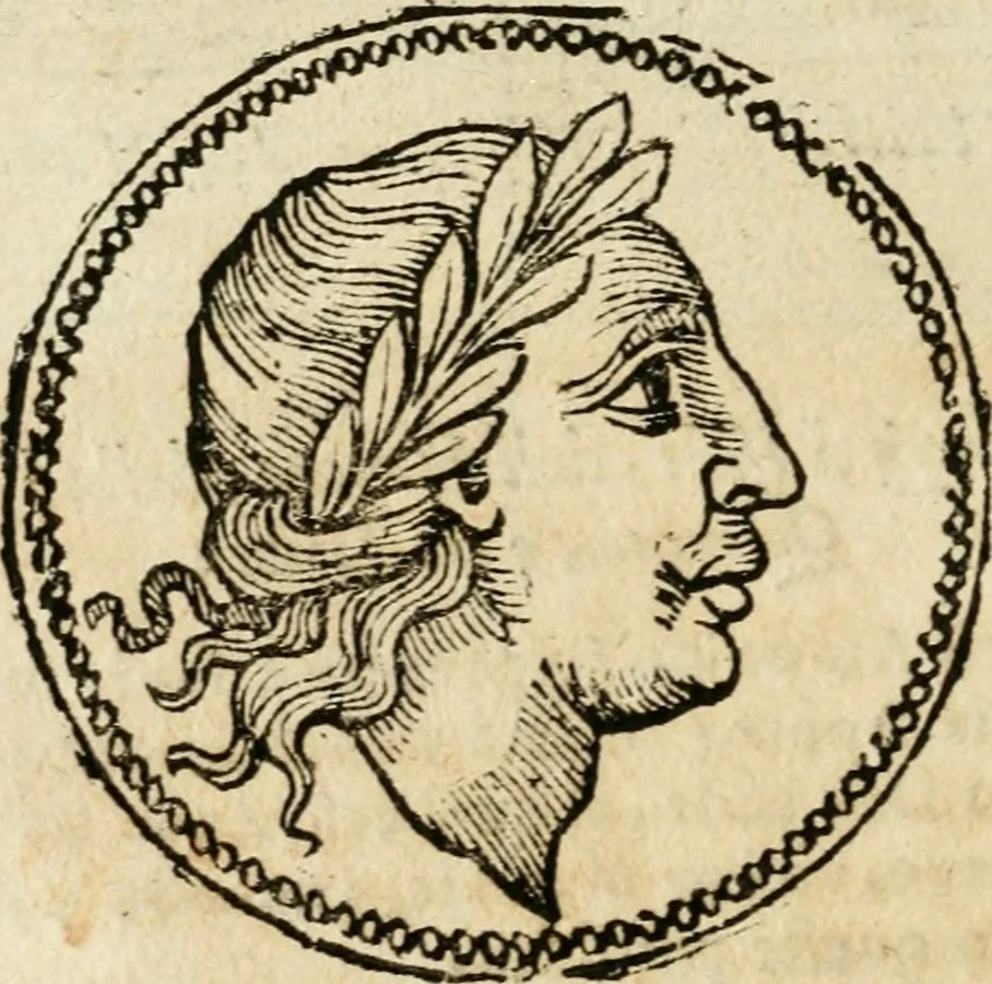An illustration from Ritratto di Roma antica : nel qvale sono figvrati i principali tempij, theatri, anfiteatri, cerchi, naumachie, archi trionfali, curie, basiliche, colonne, ordine del trionfo, dignita militari, e ciuili, riti cerimonie, & altre cose notabili : aggiuntoui di nuouo le vite, & effigie de' primi rè di essa, e le grandezze dell'Imperio Romano, con l'esplicationi istoriche de' piu celebri antiquarij, 1654, leaf 299
