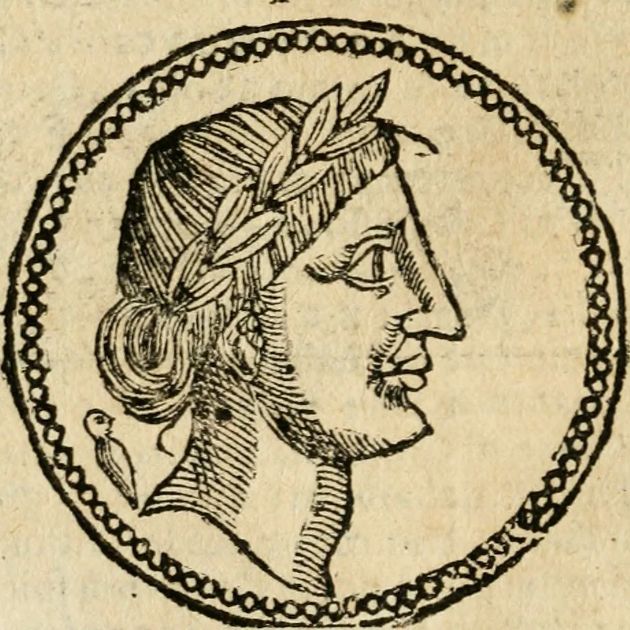 An illustration from Ritratto di Roma antica : nel qvale sono figvrati i principali tempij, theatri, anfiteatri, cerchi, naumachie, archi trionfali, curie, basiliche, colonne, ordine del trionfo, dignita militari, e ciuili, riti cerimonie, & altre cose notabili : aggiuntoui di nuouo le vite, & effigie de' primi rè di essa, e le grandezze dell'Imperio Romano, con l'esplicationi istoriche de' piu celebri antiquarij, 1654, leaf 69