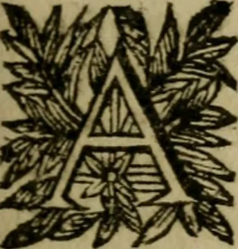 An illustration from Ritratto di Roma moderna, 1638, leaf 10