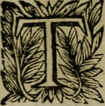 An illustration from Ritratto di Roma moderna, 1638, leaf 196