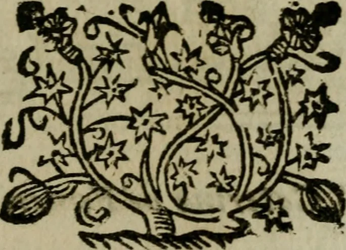 An illustration from Ritratto di Roma moderna, 1638, leaf 200