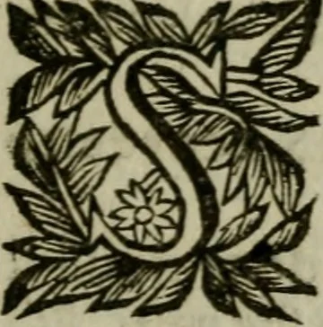 An illustration from Ritratto di Roma moderna, 1638, leaf 208