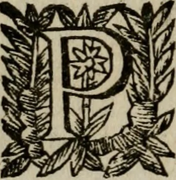 An illustration from Ritratto di Roma moderna, 1638, leaf 243