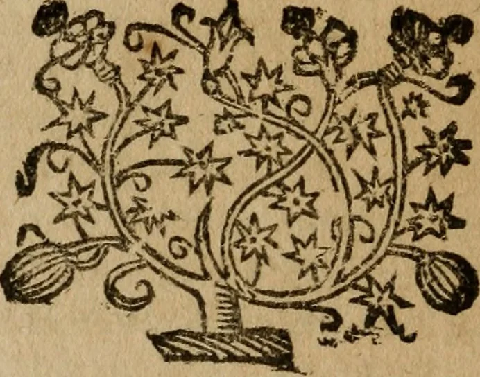 An illustration from Ritratto di Roma moderna, 1638, leaf 295