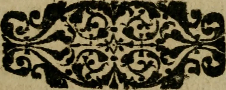 An illustration from Ritratto di Roma moderna, 1638, leaf 324