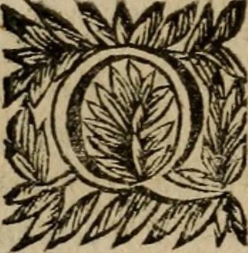 An illustration from Ritratto di Roma moderna, 1638, leaf 333