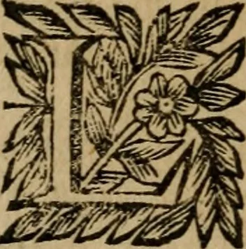 An illustration from Ritratto di Roma moderna, 1638, leaf 357
